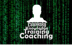 Training and Coaching